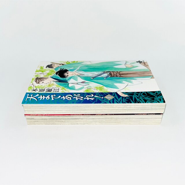 秋田書店(アキタショテン)の天まであがれ！ 木原敏江 全2巻 文庫版 全巻初版 セット 送料無料 匿名配送 エンタメ/ホビーの漫画(全巻セット)の商品写真