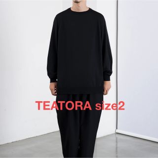 コモリ(COMOLI)のTEATORA CARTRIDGE KNIT CREW DELTAPEAK(ニット/セーター)