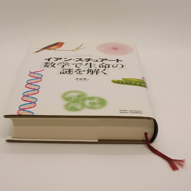 数学で生命の謎を解く エンタメ/ホビーの本(科学/技術)の商品写真