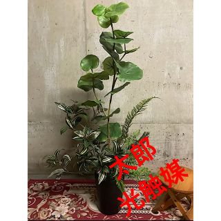光触媒人工観葉植物ウォールグリーンフェイクフラワーハンドメイド　シーグレープツデ(置物)