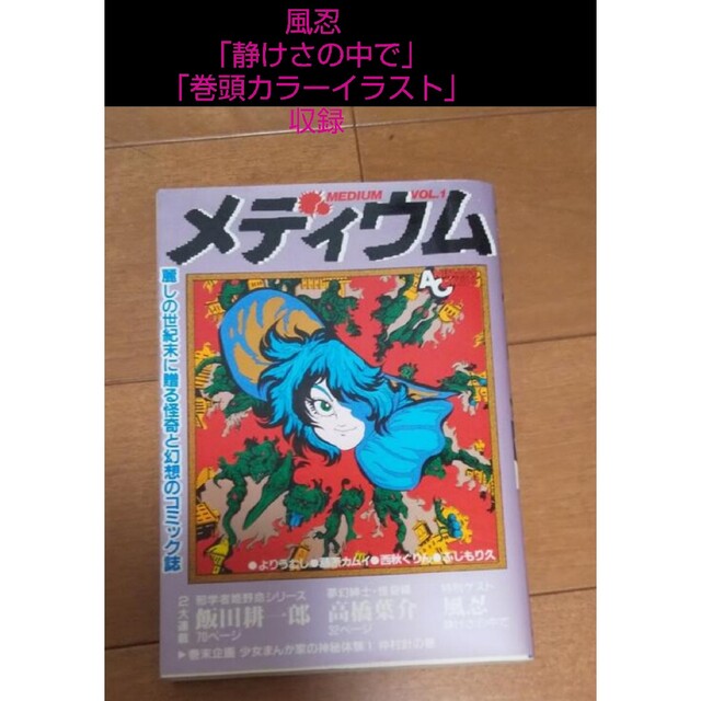 メディウム vol.1 風忍 「静けさの中で」「巻頭カラーイラスト」 収録 | フリマアプリ ラクマ