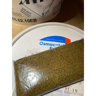 オスモコート　エグザクトミニ500g(その他)