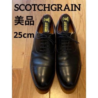 オールデン(Alden)の美品 SCOTCH GRAIN スコッチグレイン 匠 ストレートチップ 25cm(ドレス/ビジネス)