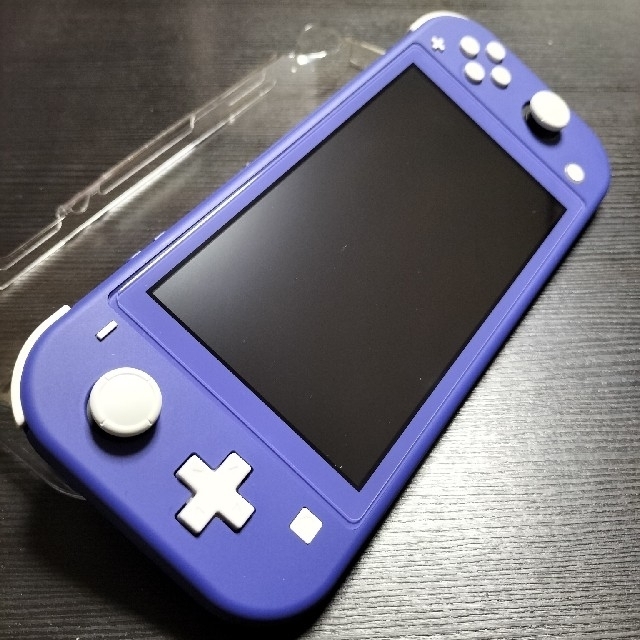 Nintendo Switch LITE ブルー hotelvillaespanola.com