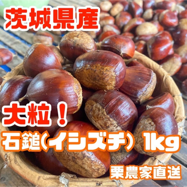 茨城県産  生栗  L・LLサイズ  1kg