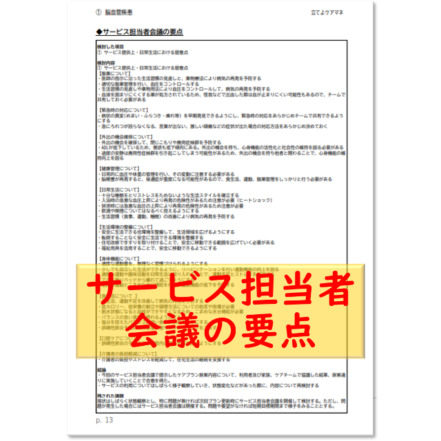 （疾患別）ケアプラン文例・記入例　 ハンドメイドのハンドメイド その他(その他)の商品写真