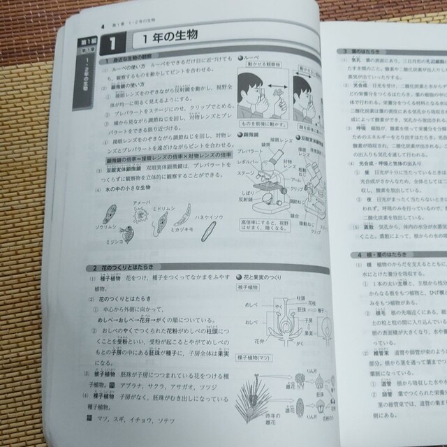 ♦非売品♦学習塾教材WinPass　中学理科 エンタメ/ホビーの本(語学/参考書)の商品写真