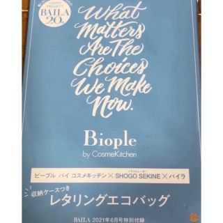 4/末〆◎エコバッグ収納ケースブルー水色限定バイラ雑誌付録6月号キャンプ山登(その他)