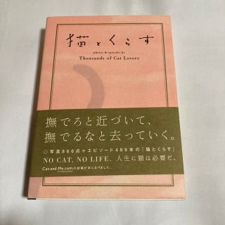 猫とくらす Ｔｈｏｕｓａｎｄｓ(趣味/スポーツ/実用)