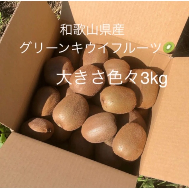 和歌山県産☆キウイフルーツ たっぷり3kg！！ 食品/飲料/酒の食品(フルーツ)の商品写真