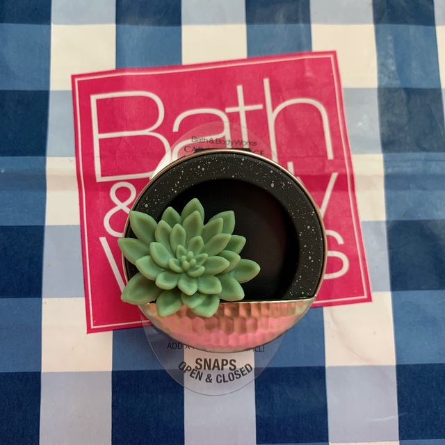 Bath & Body Works(バスアンドボディーワークス)の【新品】バスアンドボディワークス カーフレグランス 多肉 セット レディースのファッション小物(キーホルダー)の商品写真