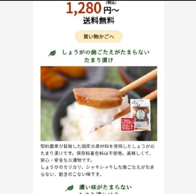 はやとうり5 食品/飲料/酒の加工食品(漬物)の商品写真