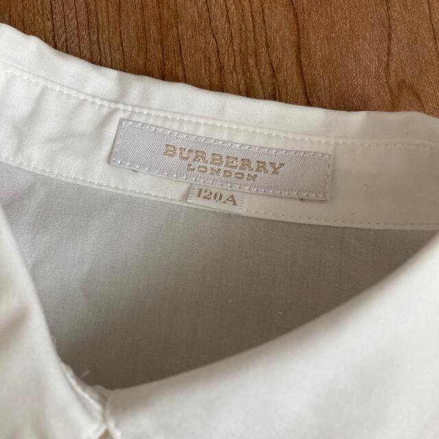 BURBERRY(バーバリー)のバーバリー　女の子　シャツ　120 キッズ/ベビー/マタニティのキッズ服女の子用(90cm~)(Tシャツ/カットソー)の商品写真