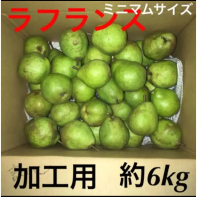 加工用！ラフランス  青森県産　洋梨　訳あり 食品/飲料/酒の食品(フルーツ)の商品写真