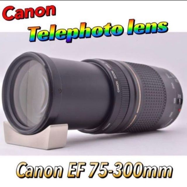 【感動の望遠レンズ】 キヤノン　Canon EF 75-300mm F4-5.6