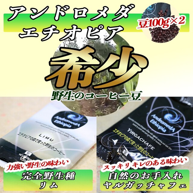 豆100g×2☆アンドロメダエチオピアコーヒー☆リム＆ヤルガッチャフェ☆無農薬 食品/飲料/酒の飲料(コーヒー)の商品写真