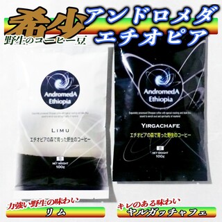 豆100g×2☆アンドロメダエチオピアコーヒー☆リム＆ヤルガッチャフェ☆無農薬(コーヒー)