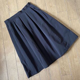 ブルーレーベルクレストブリッジ(BLUE LABEL CRESTBRIDGE)のBLUE LABEL CRESTBRIDGE フレアスカート(ひざ丈スカート)