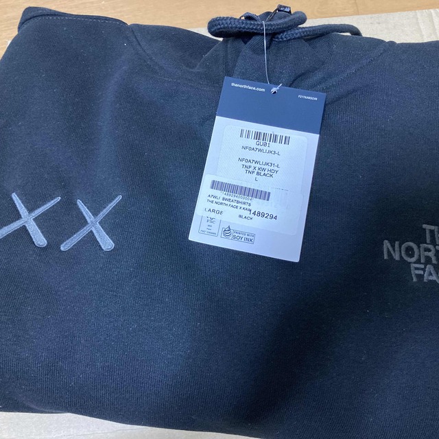 The North Face Kaws Hoodie