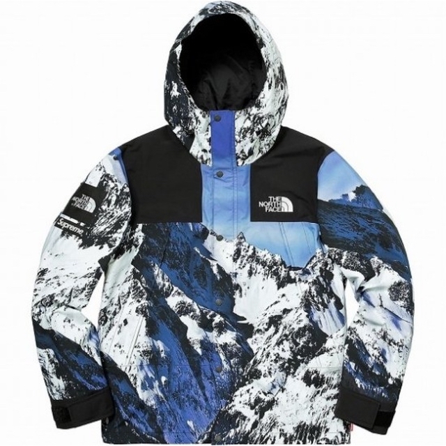 Supreme The North Face Mountain Parka M