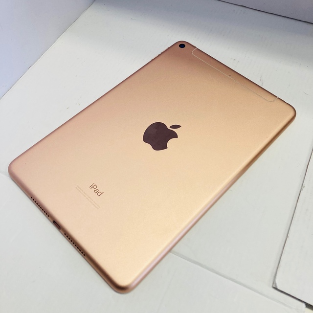 Apple iPad mini 5 64GB ゴールド docomo アイパッド