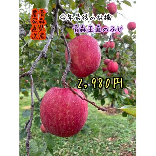王道の林檎　ふじ　特売！　送料無料　農家直送　りんご(ふじ)　7〜8キロ(フルーツ)