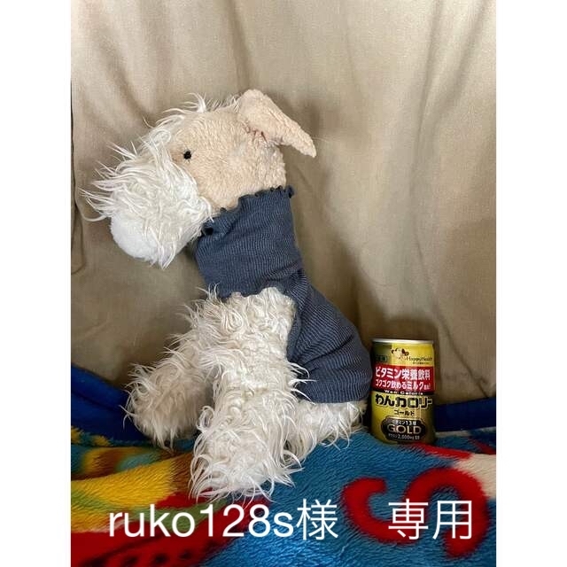 小型犬腹巻 その他のペット用品(犬)の商品写真