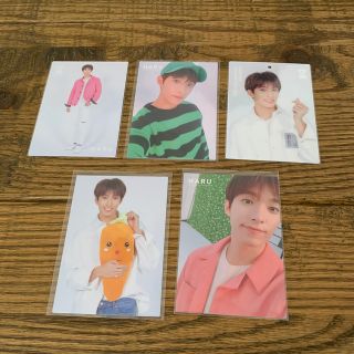 SEVENTEEN - SEVENTEEN セブチ トレカ ハルコン HARU ドギョムの