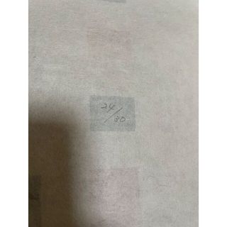 visvim peerless ICTP30枚顧客特別限定ポスターインスタ掲載