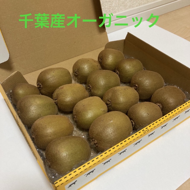 【無農薬】高糖度キウイフルーツ ゴールド 約1.3kg↑ 千葉産【オーガニック】 食品/飲料/酒の食品(フルーツ)の商品写真