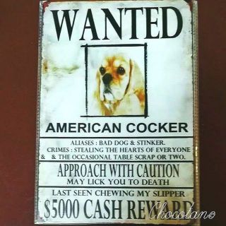 アメリカン コッカー WANTED サインプレート(ウェルカムボード)