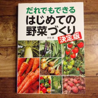 だれでもできるはじめての野菜づくり 決定版(趣味/スポーツ/実用)