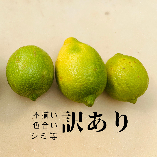グリーンレモン1kg（訳あり） 食品/飲料/酒の食品(フルーツ)の商品写真