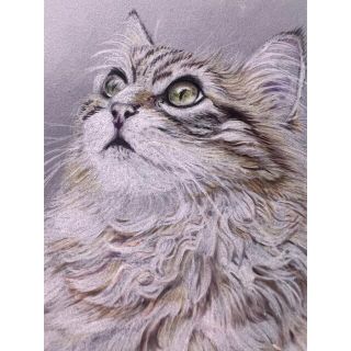 再販オーダー可★色鉛筆画　猫ねこ　ネコ　　絵画　手描き　 「雪空を見上げる猫」