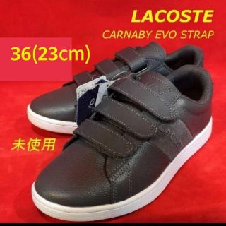 ラコステ(LACOSTE)のLACOSTE CARNABY EVO STRAP ダークグレー 14,300円(スニーカー)