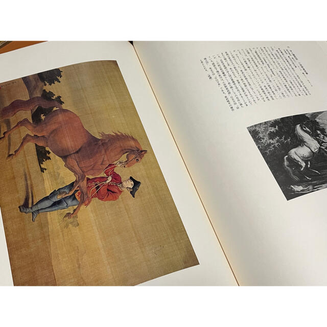 図録 秋田蘭画 大型図録 武塙林太郎 成瀬不二雄 隈元謙次郎 定価5万円 図録 秋田蘭画 大型図録 武塙林太郎 成瀬不二雄 隈元謙次郎 定価5万円