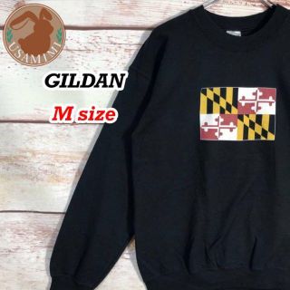 US古着 GILDAN メリーランド州旗 ビックプリント 両面プリント Mサイズ(スウェット)