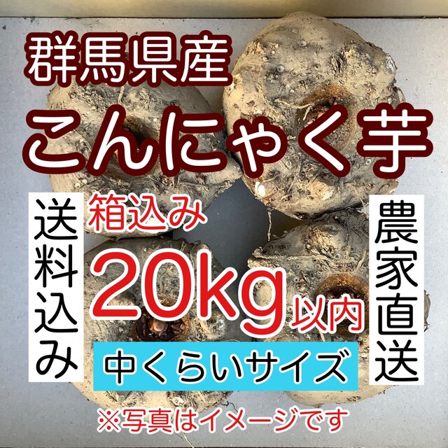 【群馬県産】こんにゃく芋　箱込み20kg以内　手作りこんにゃく用【中サイズ】 食品/飲料/酒の食品(野菜)の商品写真