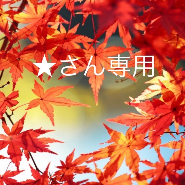 ★さん専用ページ