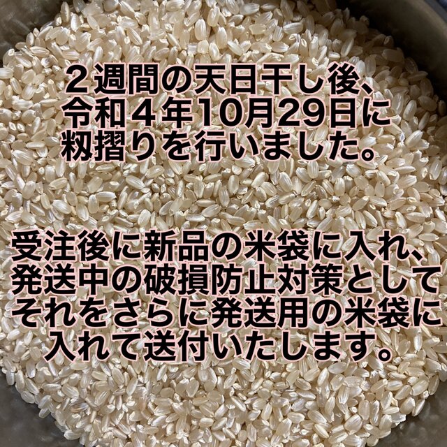 玄米10kg  無農薬　天日干し食品/飲料/酒