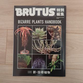 マガジンハウス(マガジンハウス)の【BRUTUS】合本 新・珍奇植物(趣味/スポーツ/実用)