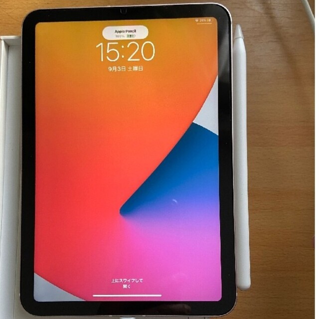 激安特価 iPad - アップル ipad mini 6 タブレット - sanmartinbakery.us