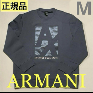 アルマーニエクスチェンジ(ARMANI EXCHANGE)の洗練されたデザイン　ARMANI EXCHANGE　スウェット　グレー　M(スウェット)
