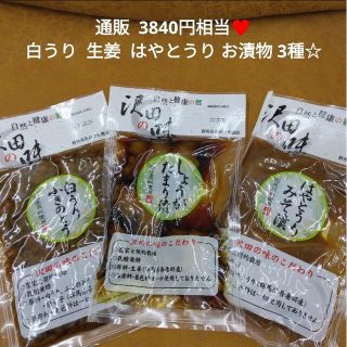 白うりふきのとう 100ｇ  生姜たまり漬  100ｇ はやとうり味噌 120ｇ(漬物)