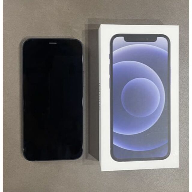 Apple iPhone12 mini 256GB 美品