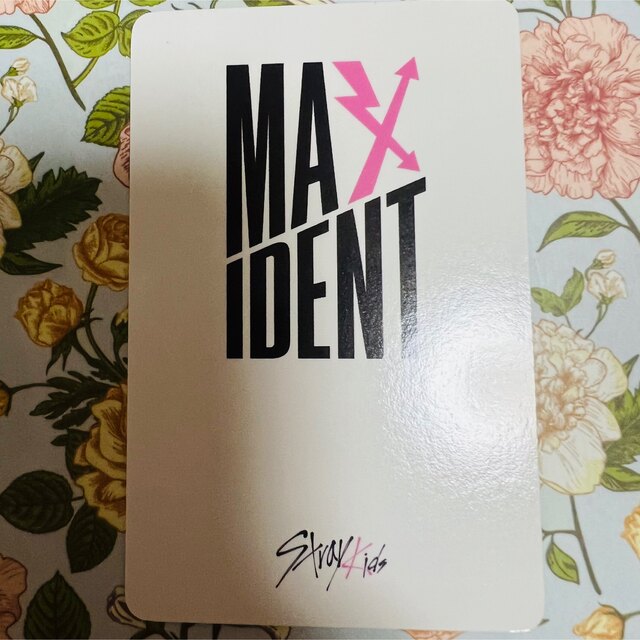 Stray Kids MAXIDENT MUSICPLANT 特典 リノの通販 by 리아'sshop｜ラクマ