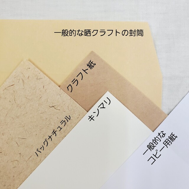 カレンダー CiRCUSxPLAN ルーズリーフ A5 B5 インテリア/住まい/日用品の文房具(ファイル/バインダー)の商品写真