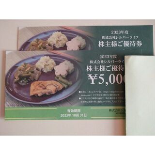 シルバーライフ 株主優待 まごころケア食 10000円分(その他)