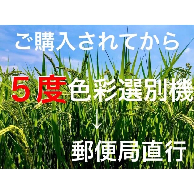 採れたて新米✳️令和５年産✳️５回色彩選別・有機肥料・送料無料ハツシモ20キロ