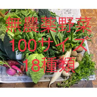 無農薬野菜詰め合わせ　(100サイズ)(野菜)